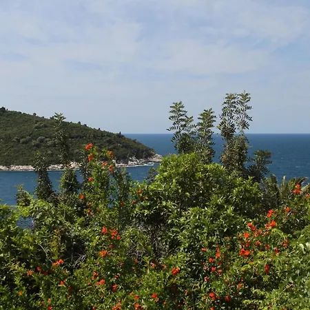 Διαμέρισμα With Wifi - 8821 Ντουμπρόβνικ